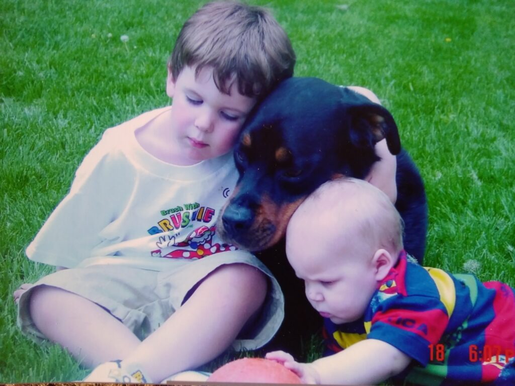 Rottweilers and kids